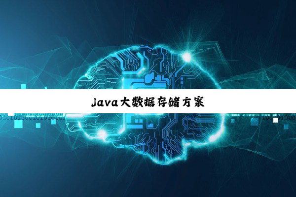 Java大数据存储方案
