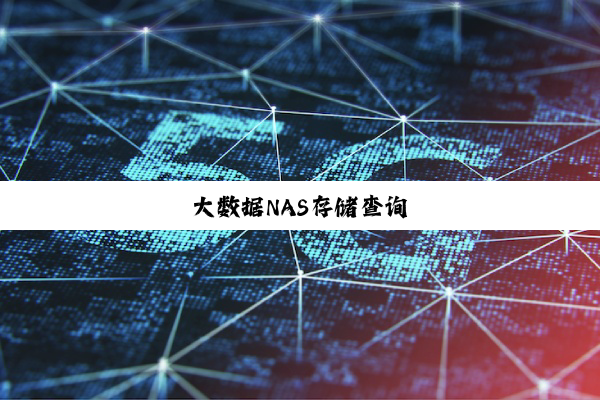 大数据NAS存储查询