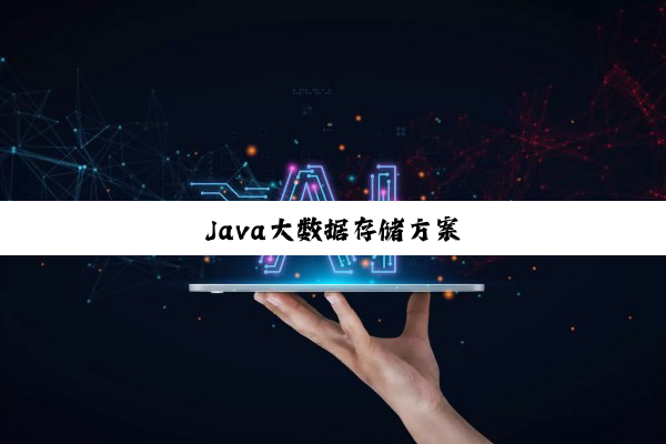 今日科普|Java大数据存储方案