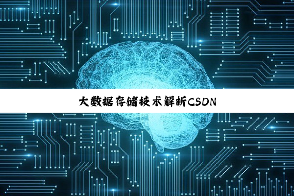 大数据存储技术解析CSDN